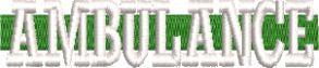 NHS Ambulance Service ,Green Line Ambulance ,Embroidered  Fleece